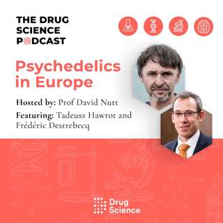 82. Psychedelics in Europe with Tadeusz Hawrot and Frédéric Destrebecq