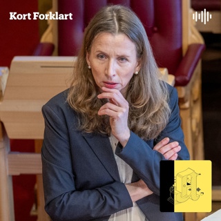 Kort Forklart: Strengere tiltak mot kriminelle barn