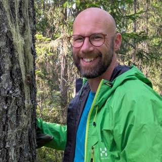 Så restaureras en skog för bästa mångfald