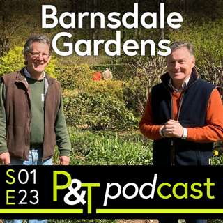 Barnsdale Gardens, Seed Drying, Rhubarb & Fig Tree Questions