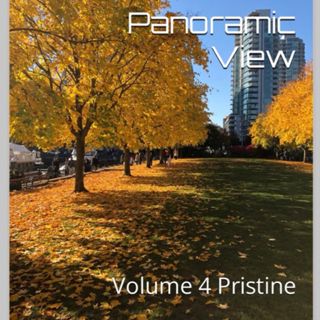 Panoramic View Volume 4 Pristine by Daniel Lucas