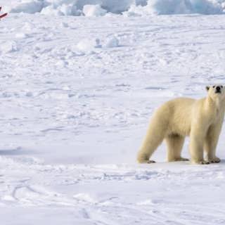 Vårens extremväder avslöjar klimatkrisens fart