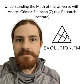 Consciousness Research and the Shape of Subjective Experience With Andrés Gómez-Emilsson (Qualia Research Institute)