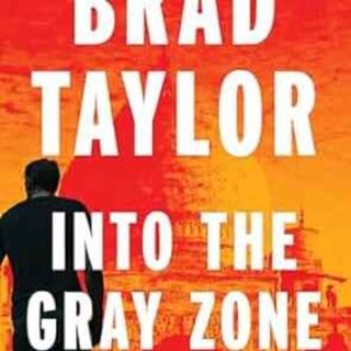 Brad Taylor - Into the Gray Zone