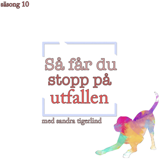 Så får du stopp på utfallen - Hundpsykologens handlingsplan