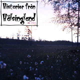 Huset vid Kvaråsvägen