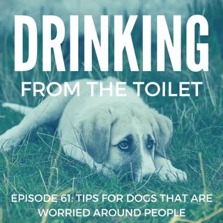 #61: Tips For Dogs That Are Worried Around People