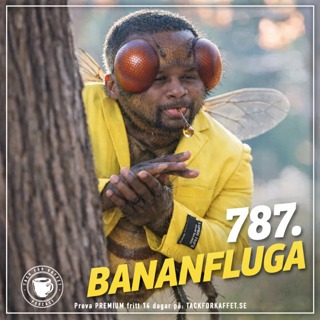 787. Bananfluga.