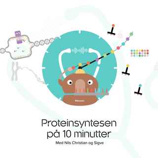 Proteinsyntesen på 10 minutter