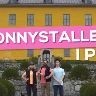 Spånghammar och Ponnystallet