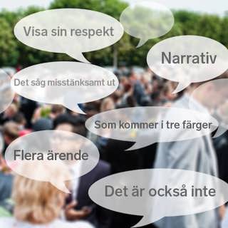 Uttrycken som ni stör er på