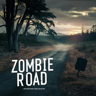 Zombie Road