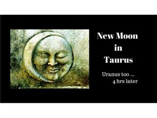 The Week Ahead - New Moon in Taurus
