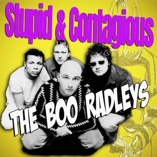 #119 / 90s Guitar Bands - The Boo Radleys