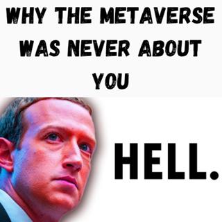 Why the Metaverse Was Never About You