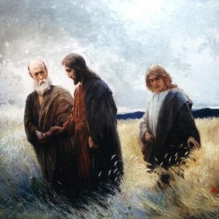 Unveiling the True Essence of the Sabbath: Jesus' Message for Our Spiritual Journey