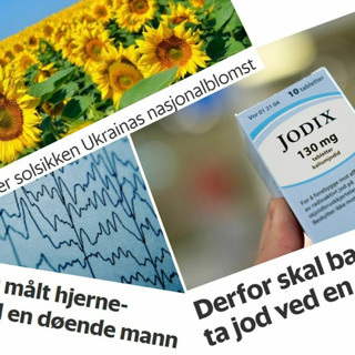 Forskningspodden #28: Jod ved atomulykke, en døende manns hjerne og Ukrainas solsikker