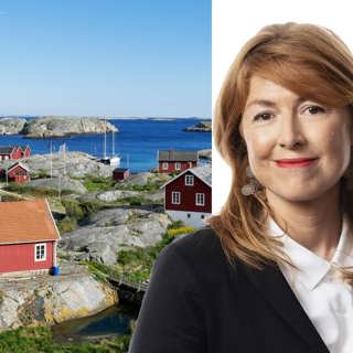 Sverige, den amerikanska högerns nya favoritland: Kajsa Boglind, Washington