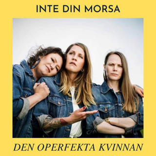 DEN OPERFEKTA KVINNAN