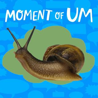 How do snails make their shells?