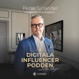 262. Effektiva IT-lösningar inom offentlig sektor | Peder Sjölander, IT-direktör Skatteverket | Affärsbehov