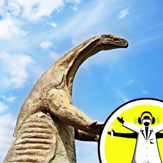 Total wipe out: Mass Extinction