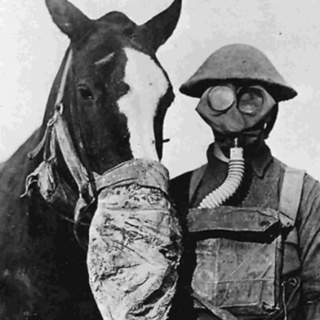 STORIES FROM THE MILITARY