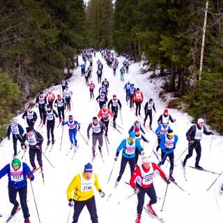 Trovärdighet på glid hos Dalarnas Tidningar, journalisters minskade makt över agendan och faktagranskning av hälsoböcker inte självklart
