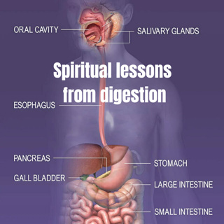 Spiritual lessons from digestion