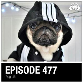 477: Pug Life
