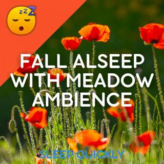 đ´đ Fall ASLEEP with BIRDSONG