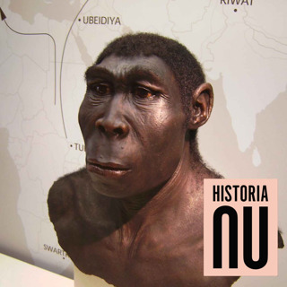 Homo erectus första samtal - språkets uppkomst (nymixad repris)