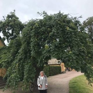 I Landskrona, där är det toppen tycker jag