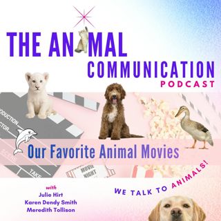 Our Favorite Animal Movies