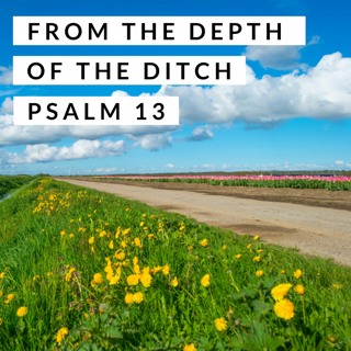 From the Depth of the Ditch; Psalm 13