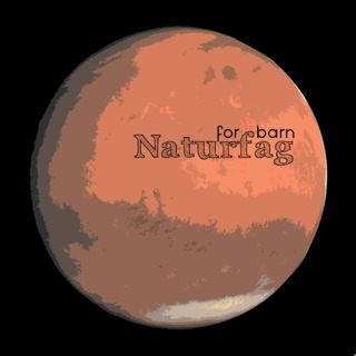 #19 Mars