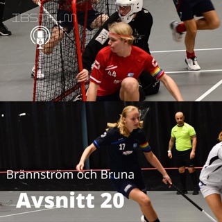 Brännström och Bruna