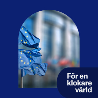 ERC Grants: How to Succeed