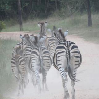 Animal farts: A mighty wind