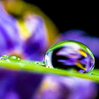339 – Bright Clarity Appears Before You: Insight When You're "Just Sitting"