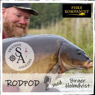 Avsnitt 22 - Birger Holmqvist