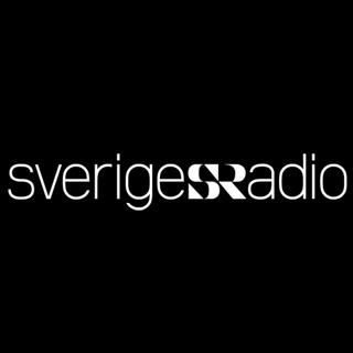 Besluten som format Sverige