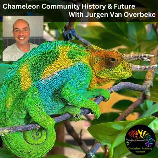 Chameleon Community History & Future with Jurgen Van Overbeke