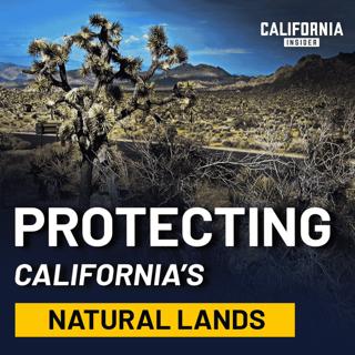 California’s Land, Water, and Fire: What’s Really Driving the Decisions
