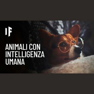 E se tutti gli animali fossero intelligenti quanto gli esseri umani?