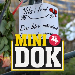 Mini-Dok: Mordet på svanpappan