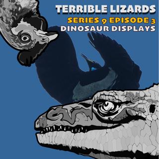 TLS09E03 Dinosaur Displays