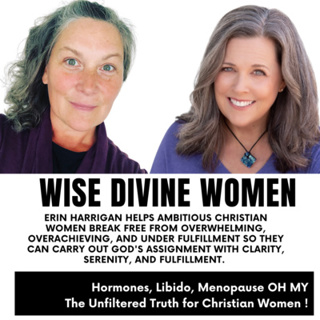 Wise Divine Women presents Erin Harrigan coach, author and host of The Hustle with H.E.A.R.T Clarity Coach, Assignment, Fulfillment, Christian Women, Pursuit, Hustle, God's Way, 