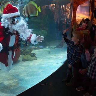 Julspecial med rimstuga