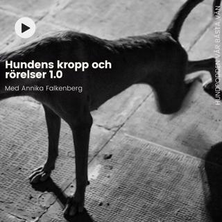 Hundens kropp och rörelser 1.0